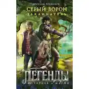 Постер книги Заклинатель