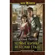 Постер книги Небесная сталь