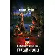 Постер книги Глазами Зоны