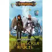 Постер книги Ангельская ярость