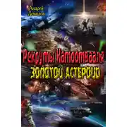 Постер книги Рекруты Натоотвааля - золотой астероид