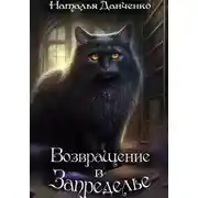 Постер книги Возвращение в Запределье