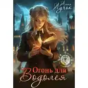 Постер книги Огонь для Водолея