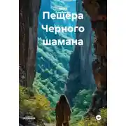 Постер книги Пещера Черного шамана