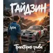 Постер книги ГАЙДЗИН: Траектория срыва