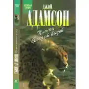 Постер книги Пиппа бросает вызов