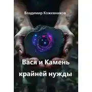 Постер книги Вася и Камень крайней нужды
