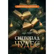 Постер книги Волшебный переплёт. Снегопад чудес