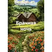 Постер книги Брачная ночь