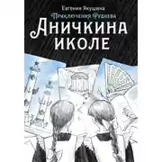 Постер книги Аничкина иколе. Приключения Руднева
