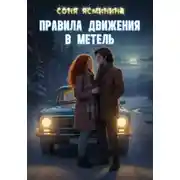 Постер книги Правила движения в метель