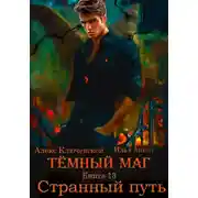 Постер книги Тёмный маг. Книга 13. Странный путь