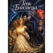 Постер книги Тень близнеца