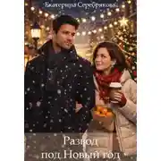 Постер книги Развод под Новый год