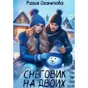 Постер книги Снеговик на двоих