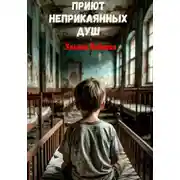 Постер книги Приют неприкаянных душ