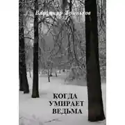 Постер книги Когда умирает ведьма