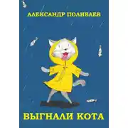 Постер книги Выгнали кота