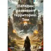 Постер книги Паладин развивает территорию. Том VI