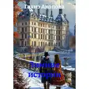 Постер книги Зимние истории