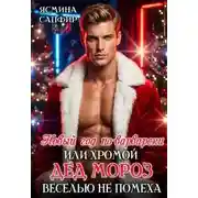 Постер книги Новый год по-варварски, хромой Дед мороз веселью не помеха