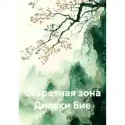 Постер книги Секретная зона Дильки Бие