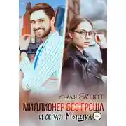 Постер книги Миллионер без гроша и серая Мышка