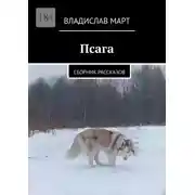 Постер книги Псага. Сборник рассказов
