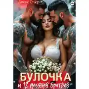 Постер книги Булочка и 12 (месяцев) братьев