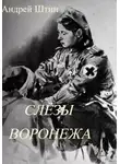 Андрей Штин - Слёзы Воронежа