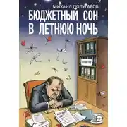 Постер книги Бюджетный сон в летнюю ночь. Хроники оперативной реальности N-ского района