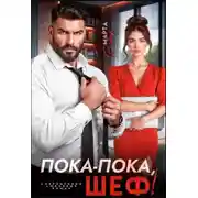 Постер книги Пока-пока, шеф!