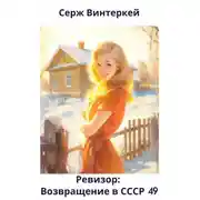 Постер книги Ревизор: возвращение в СССР 49