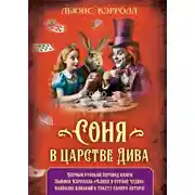 Постер книги Соня в царстве Дива