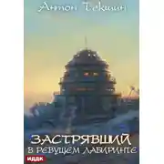 Постер книги Застрявший. Книга 4. Застрявший в Ревущем лабиринте
