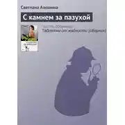 Постер книги С камнем за пазухой