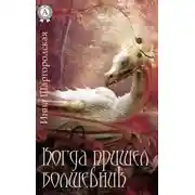 Постер книги Когда пришел волшебник