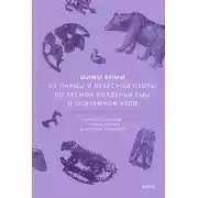 Постер книги Мифы коми. От Пармы и небесной охоты до лесной колдуньи Ёмы и подземной чуди