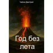 Постер книги Год без лета
