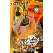 Постер книги Ничего себе поездочка или съездил, блин, в Египет