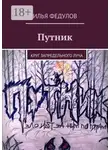 Илья Федулов - Путник. Круг запредельного луча