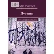 Постер книги Путник. Круг запредельного луча