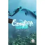 Постер книги Сапфир