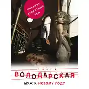 Постер книги Муж к Новому году