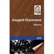 Постер книги Никита