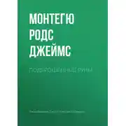 Постер книги Подброшенные руны