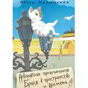 Постер книги Невероятные приключения Брыся в пространстве и времени