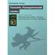 Постер книги Хохолок. Назидательная сказка