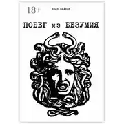 Постер книги Побег из безумия