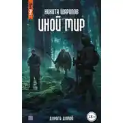 Постер книги Иной мир. Дорога домой